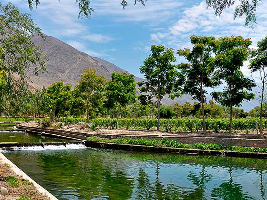 Guizado Portillo Hacienda & Resort Lunahuaná Екстериор снимка